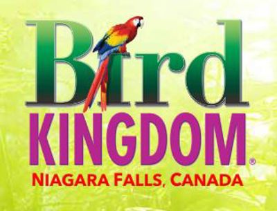 Bird Kingdom